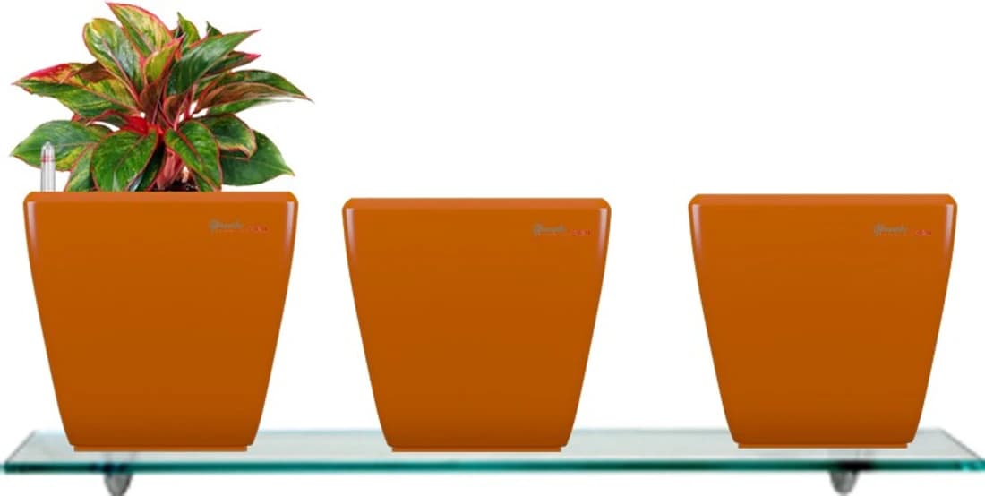 Yuccabe Italia Combo for 3 Stella Orange Self Watering planter Plant Container Set
