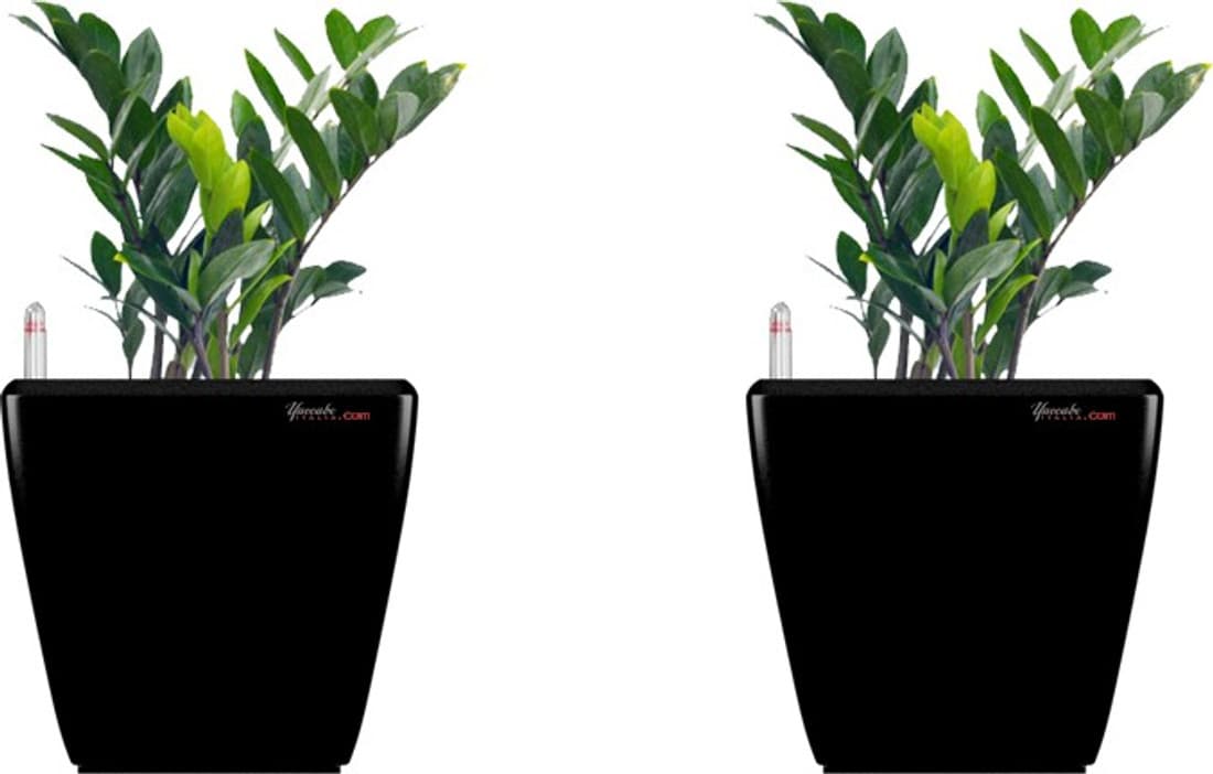 Yuccabe Italia Plant Container Set