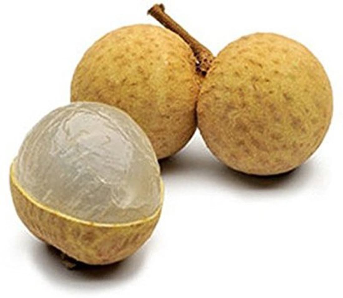 Futaba Dragon Eye Fruit Seed