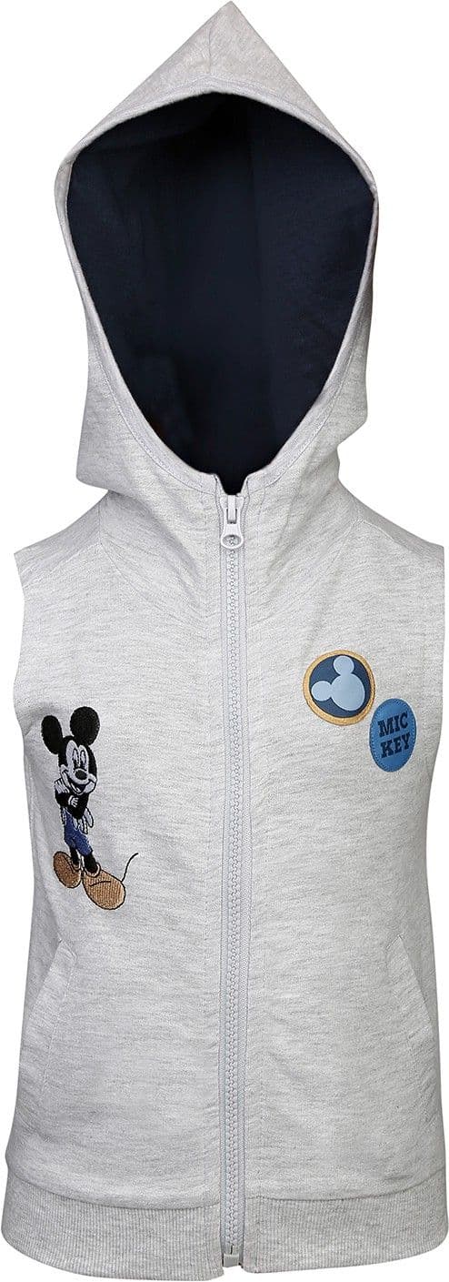 Disney Printed Baby Boy's Hooded Grey T-Shirt